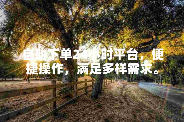 自助下单24小时平台，便捷操作，满足多样需求。