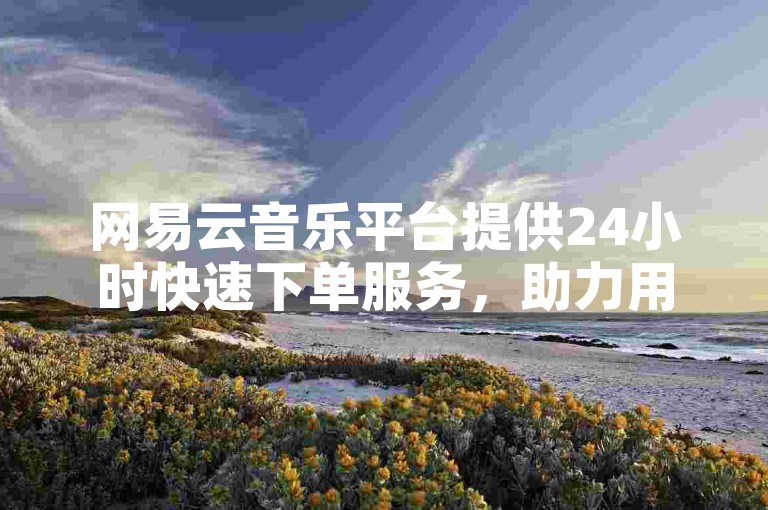 网易云音乐平台提供24小时快速下单服务，助力用户高效管理音乐需求。