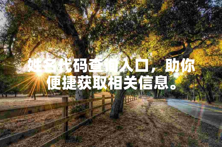 姓名代码查询入口，助你便捷获取相关信息。