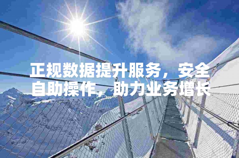 正规数据提升服务，安全自助操作，助力业务增长。