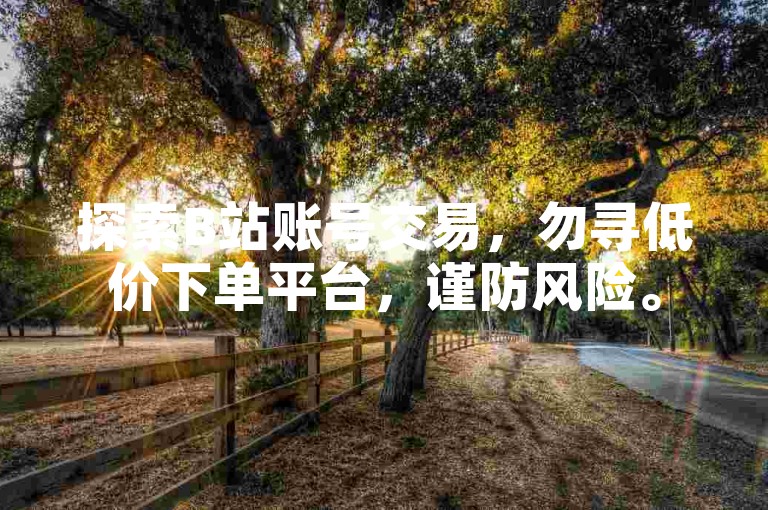 探索B站账号交易，勿寻低价下单平台，谨防风险。