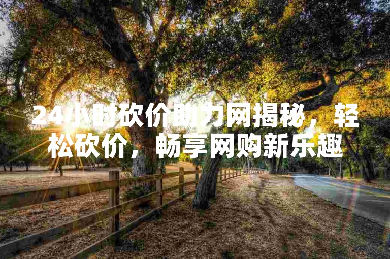 24小时砍价助力网揭秘，轻松砍价，畅享网购新乐趣2025必备