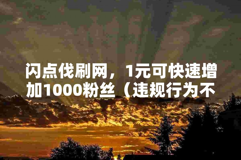 闪点伐刷网，1元可快速增加1000粉丝（违规行为不可取）