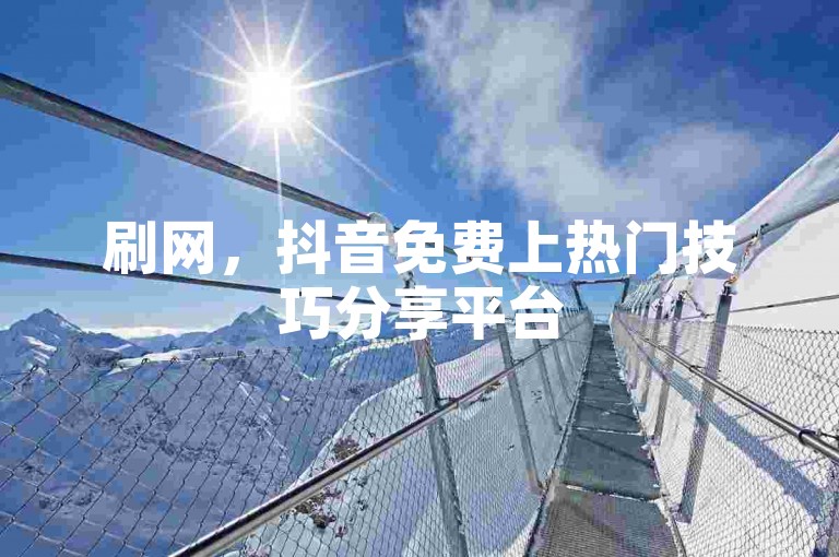 刷网，抖音免费上热门技巧分享平台