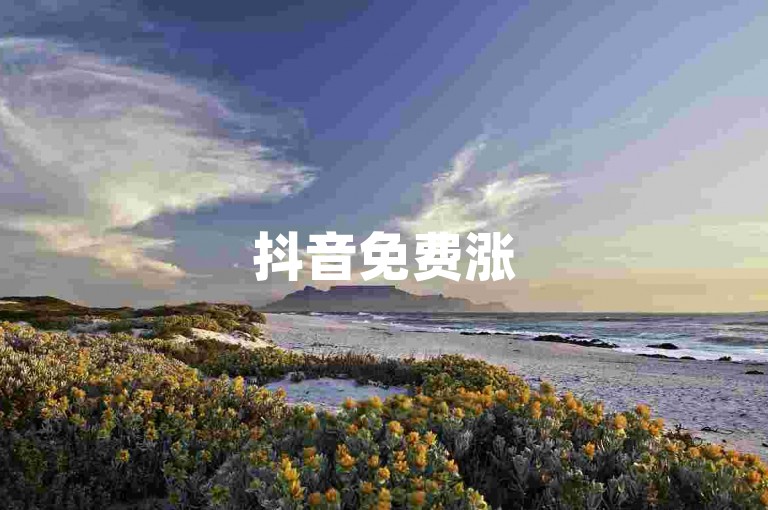 抖音免费涨5000粉丝 - 云店铺 - 一键下单