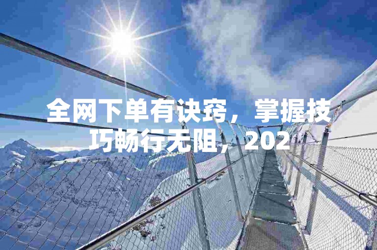 全网下单有诀窍，掌握技巧畅行无阻，2025轻松开启购物之旅！
