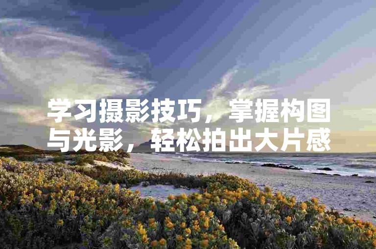 学习摄影技巧，掌握构图与光影，轻松拍出大片感。