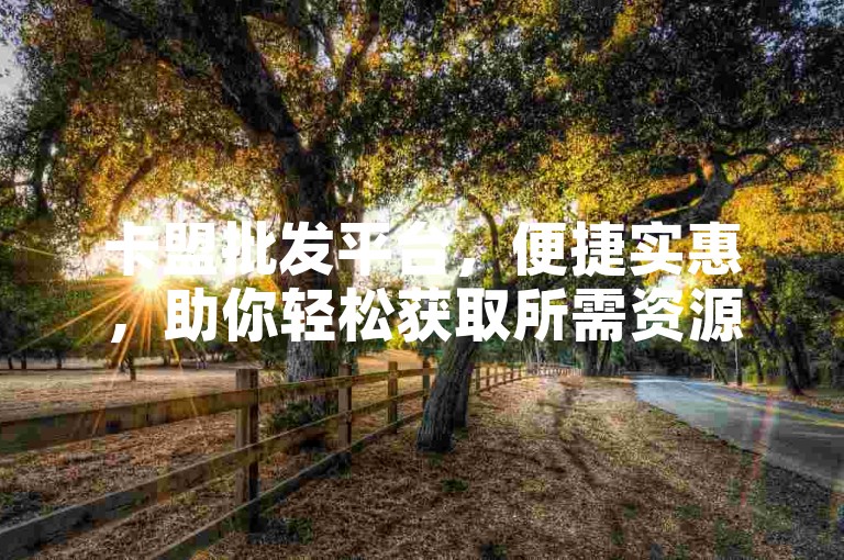 卡盟批发平台，便捷实惠，助你轻松获取所需资源。