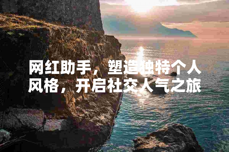 网红助手，塑造独特个人风格，开启社交人气之旅。