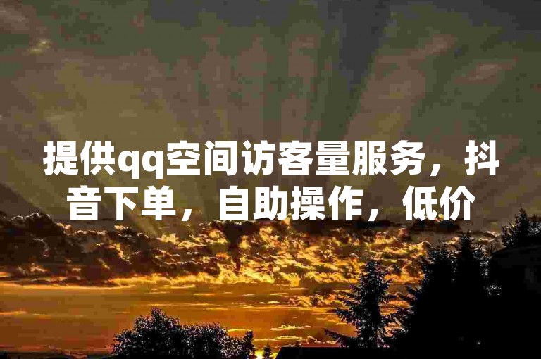 提供qq空间访客量服务，抖音下单，自助操作，低价实惠。