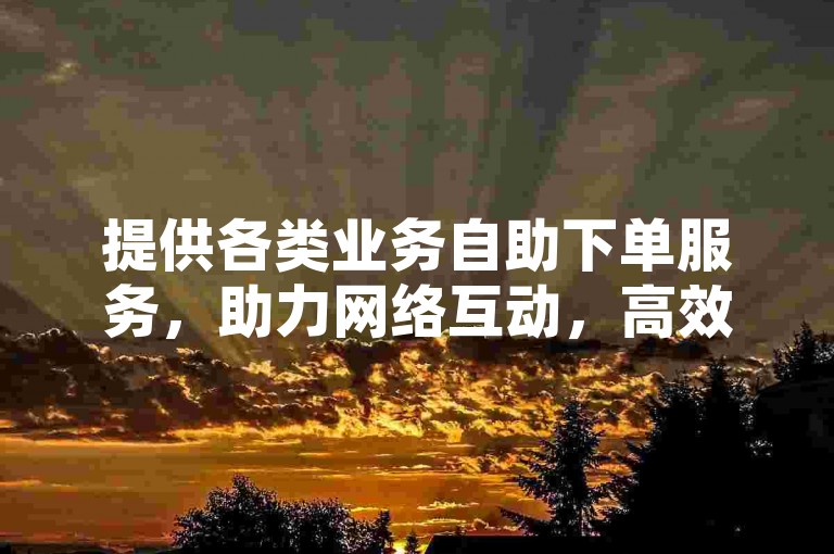 提供各类业务自助下单服务，助力网络互动，高效便捷。