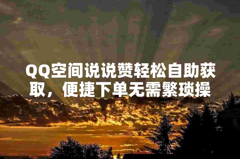 QQ空间说说赞轻松自助获取，便捷下单无需繁琐操作。