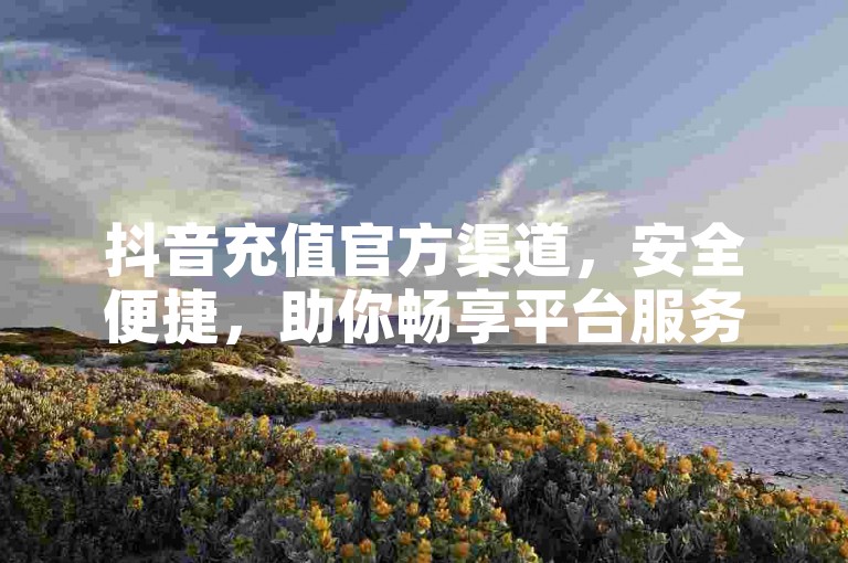 抖音充值官方渠道，安全便捷，助你畅享平台服务。