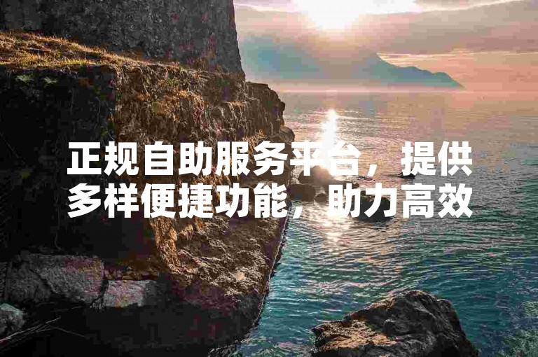 正规自助服务平台，提供多样便捷功能，助力高效操作。