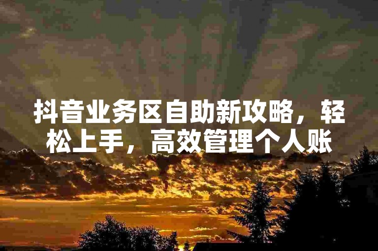 抖音业务区自助新攻略，轻松上手，高效管理个人账户！