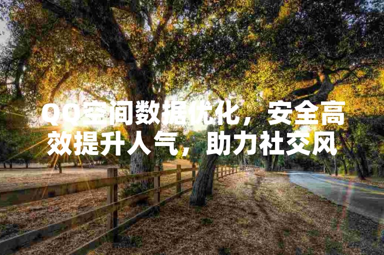 QQ空间数据优化，安全高效提升人气，助力社交风采展现。