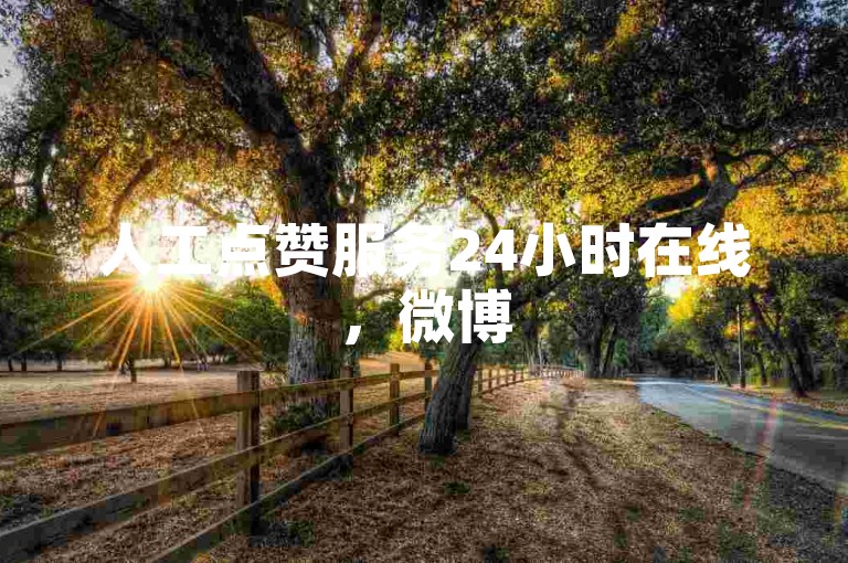 人工点赞服务24小时在线，微博500粉购买入口链接提供