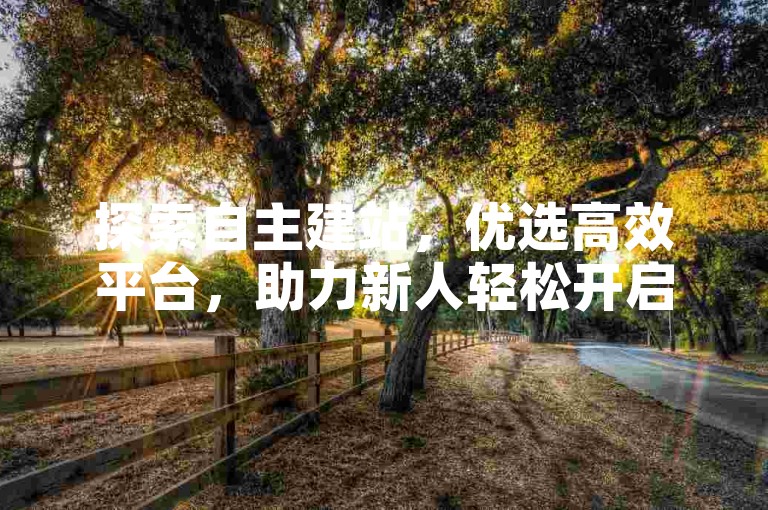 探索自主建站，优选高效平台，助力新人轻松开启网站之旅！
