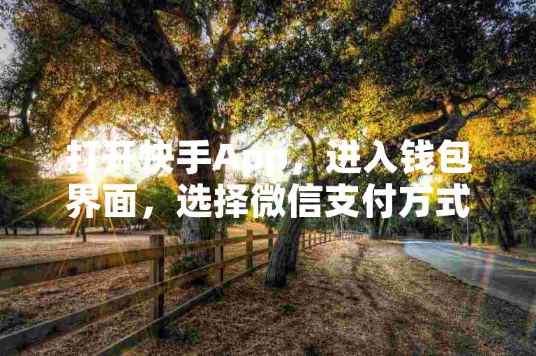 打开快手App，进入钱包界面，选择微信支付方式即可充值。