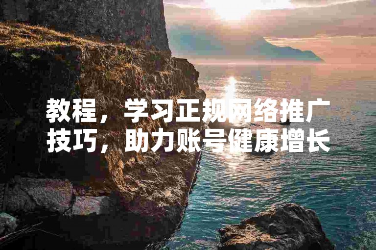 教程，学习正规网络推广技巧，助力账号健康增长。