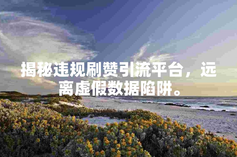 揭秘违规刷赞引流平台，远离虚假数据陷阱。