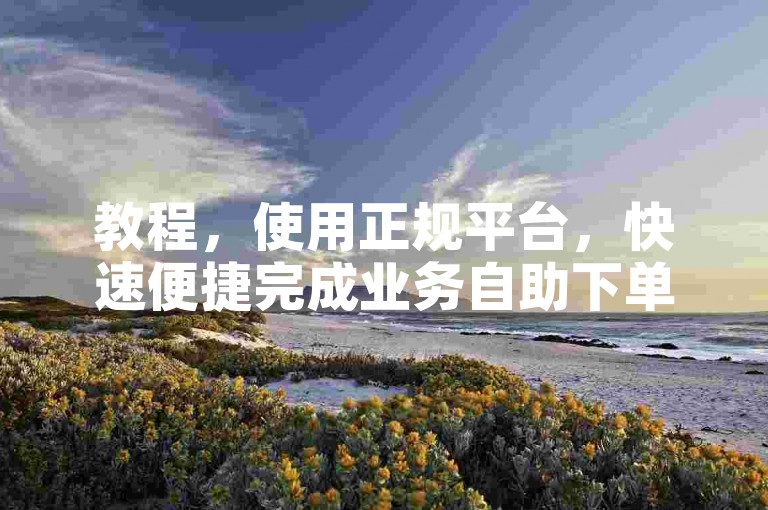 教程，使用正规平台，快速便捷完成业务自助下单操作。