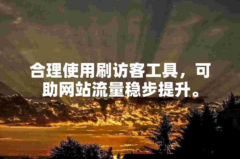 合理使用刷访客工具，可助网站流量稳步提升。