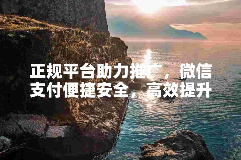 正规平台助力推广，微信支付便捷安全，高效提升曝光度。