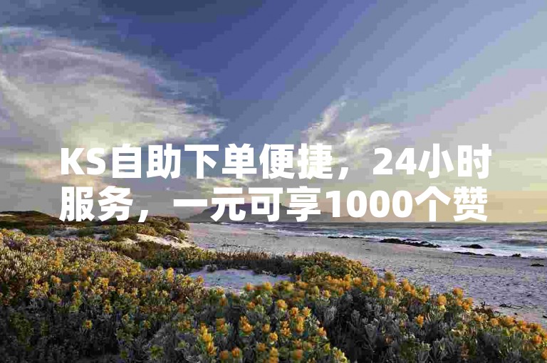 KS自助下单便捷，24小时服务，一元可享1000个赞快速到账。