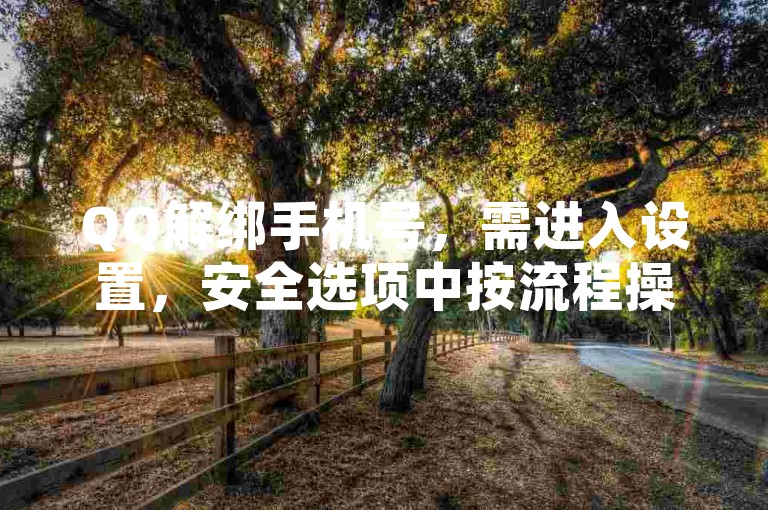 QQ解绑手机号，需进入设置，安全选项中按流程操作。
