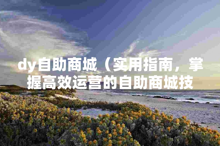 dy自助商城（实用指南，掌握高效运营的自助商城技巧！）