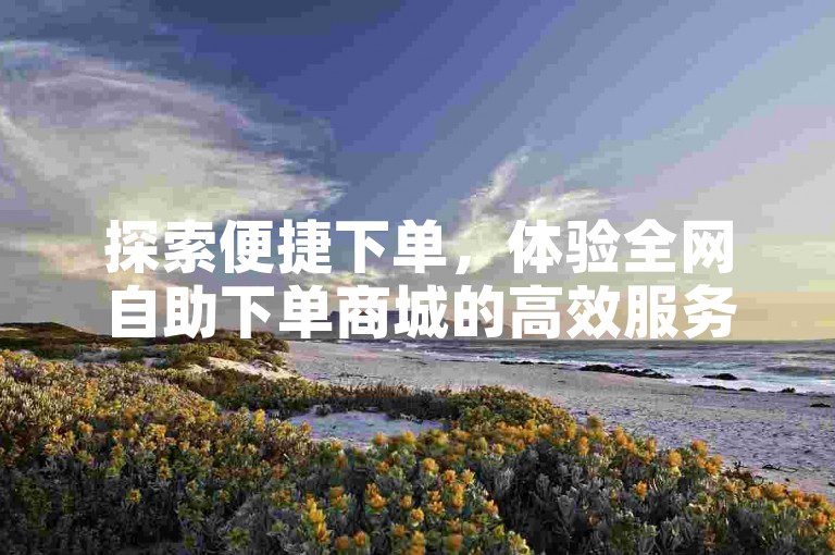 探索便捷下单，体验全网自助下单商城的高效服务。