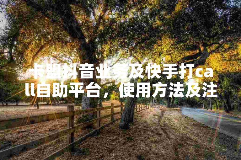 卡盟抖音业务及快手打call自助平台，使用方法及注意事项详解。