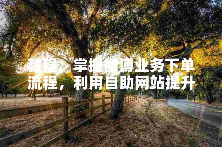 教程，掌握微博业务下单流程，利用自助网站提升效率。