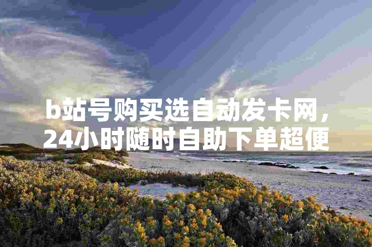 b站号购买选自动发卡网，24小时随时自助下单超便捷