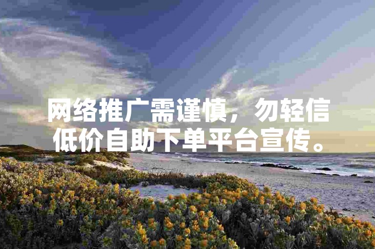 网络推广需谨慎，勿轻信低价自助下单平台宣传。