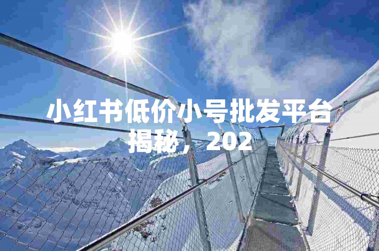 小红书低价小号批发平台揭秘，2025年必学知识！