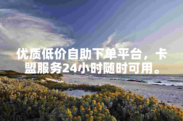 优质低价自助下单平台，卡盟服务24小时随时可用。