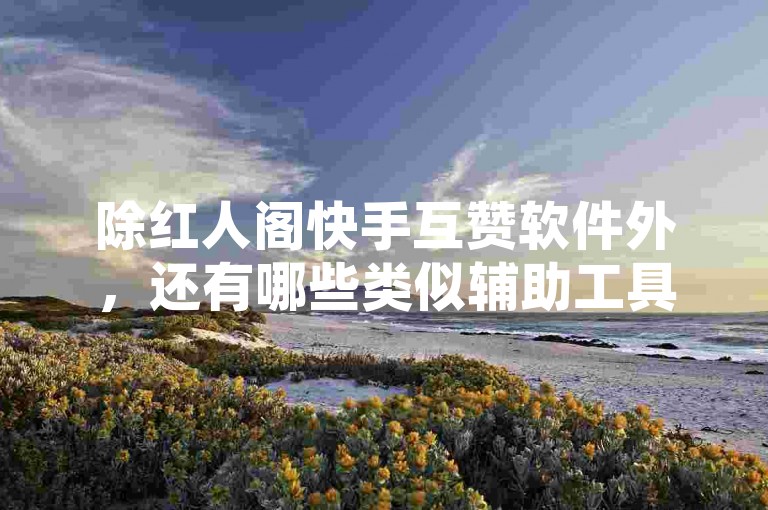 除红人阁快手互赞软件外，还有哪些类似辅助工具？