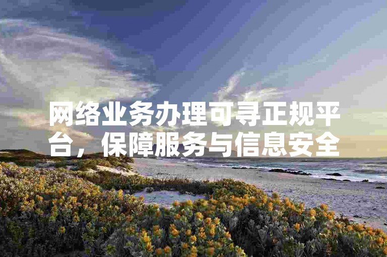 网络业务办理可寻正规平台，保障服务与信息安全。