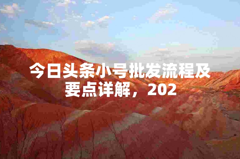 今日头条小号批发流程及要点详解，2025助你顺利操作！