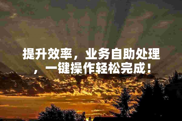 提升效率，业务自助处理，一键操作轻松完成！