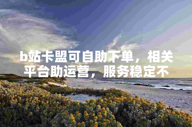 b站卡盟可自助下单，相关平台助运营，服务稳定不掉粉