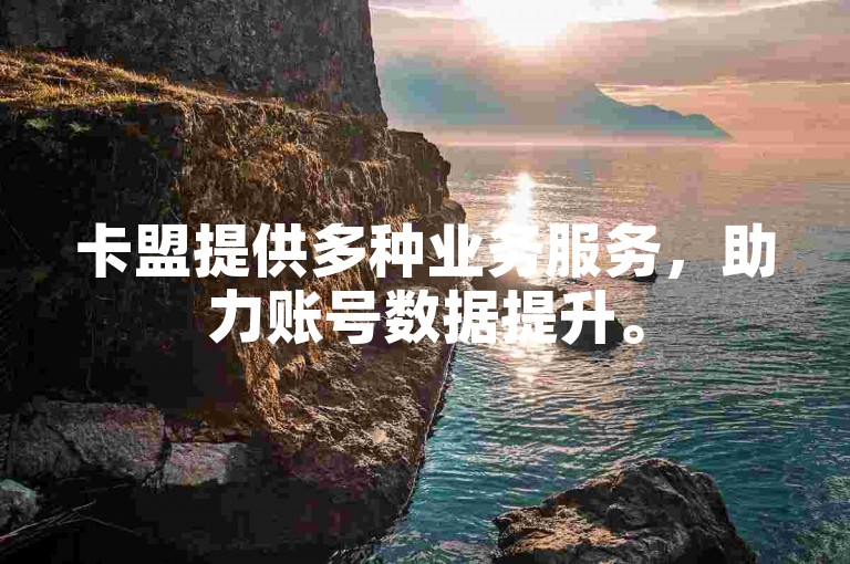 卡盟提供多种业务服务，助力账号数据提升。