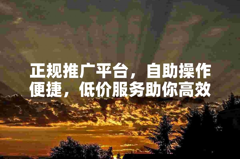 正规推广平台，自助操作便捷，低价服务助你高效达成目标。
