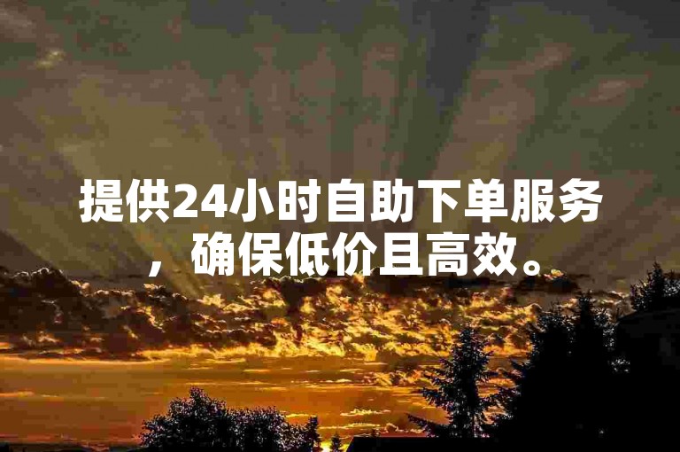 提供24小时自助下单服务，确保低价且高效。