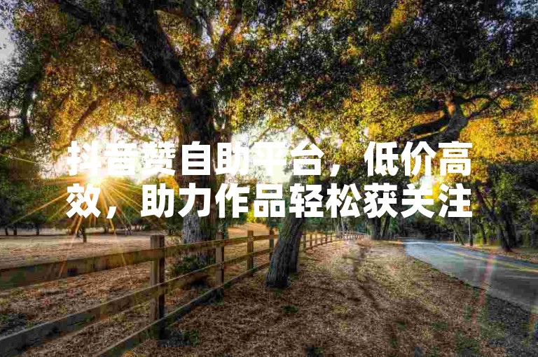 抖音赞自助平台，低价高效，助力作品轻松获关注。