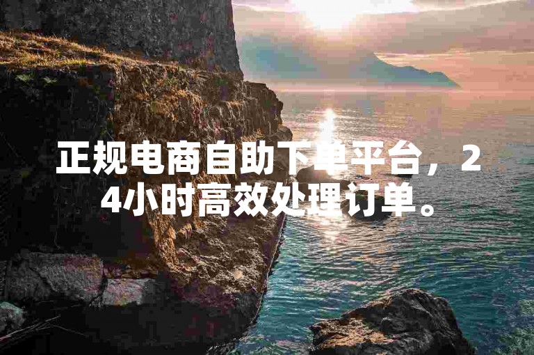 正规电商自助下单平台，24小时高效处理订单。