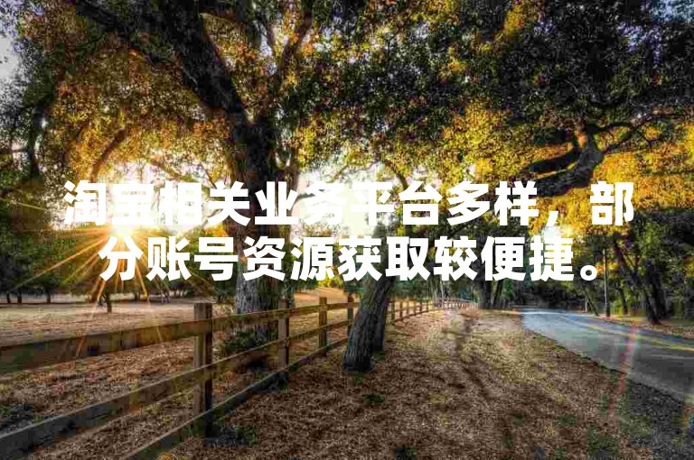 淘宝相关业务平台多样，部分账号资源获取较便捷。