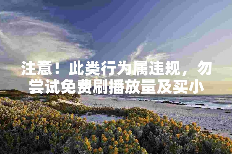 注意！此类行为属违规，勿尝试免费刷播放量及买小号等操作。